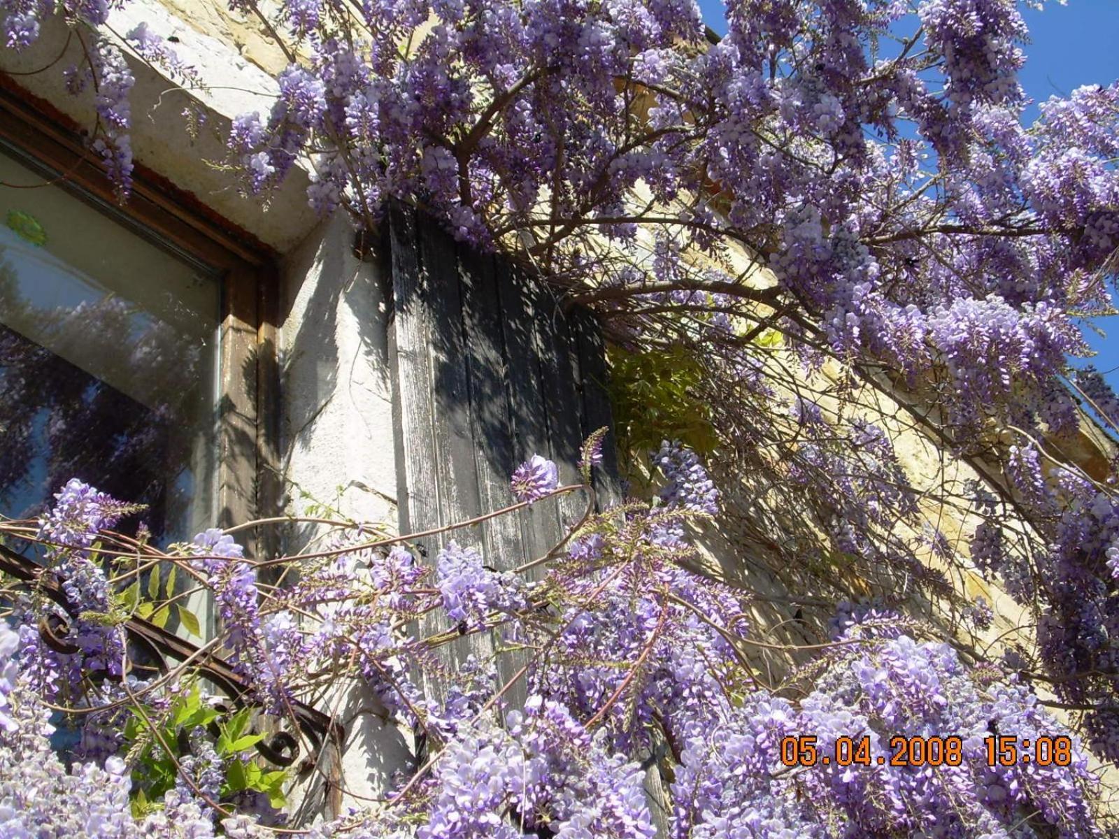 Domaine La Fontaine Du Cade Βίλα Lagorce  Εξωτερικό φωτογραφία