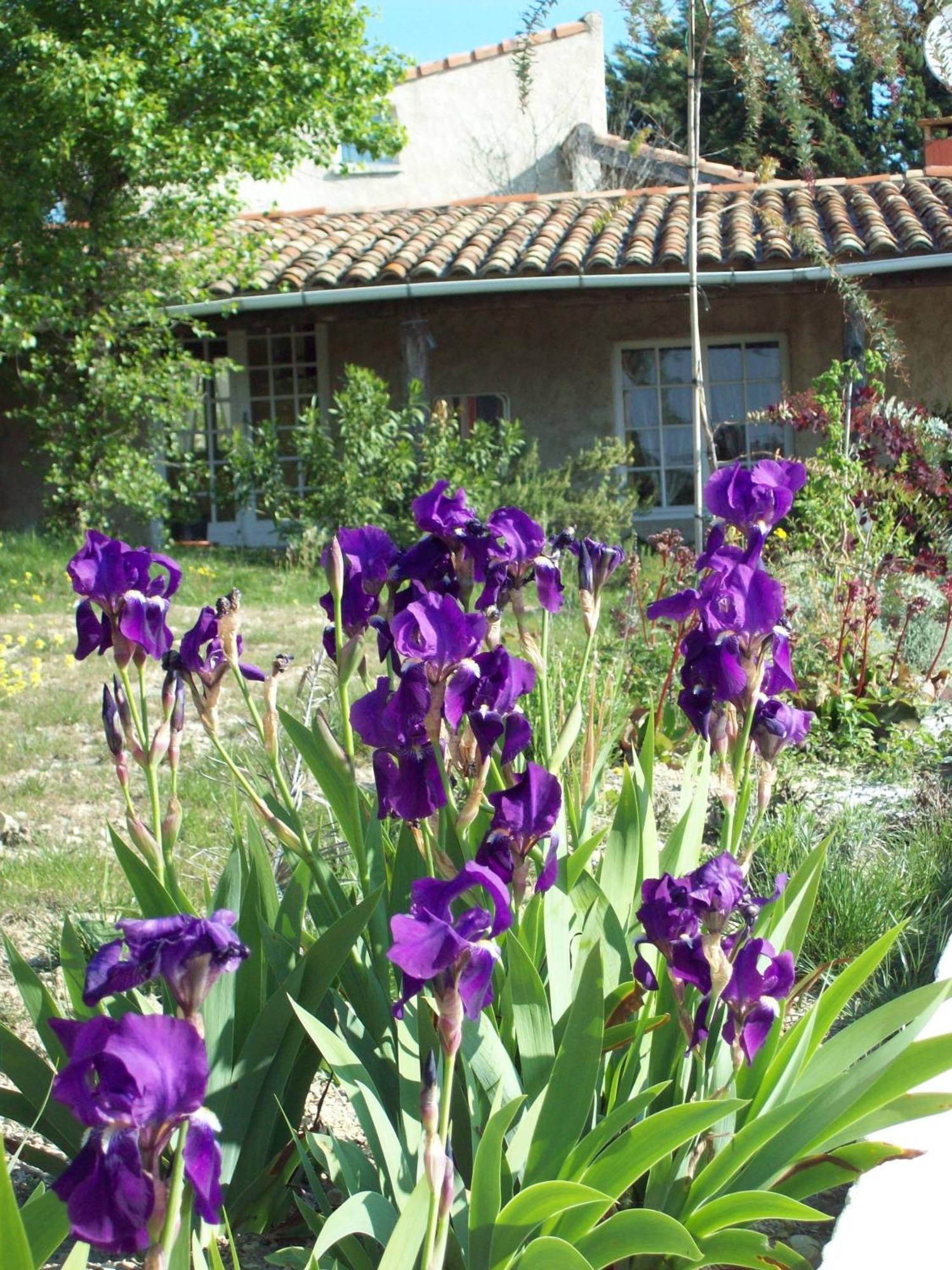 Domaine La Fontaine Du Cade Βίλα Lagorce  Εξωτερικό φωτογραφία