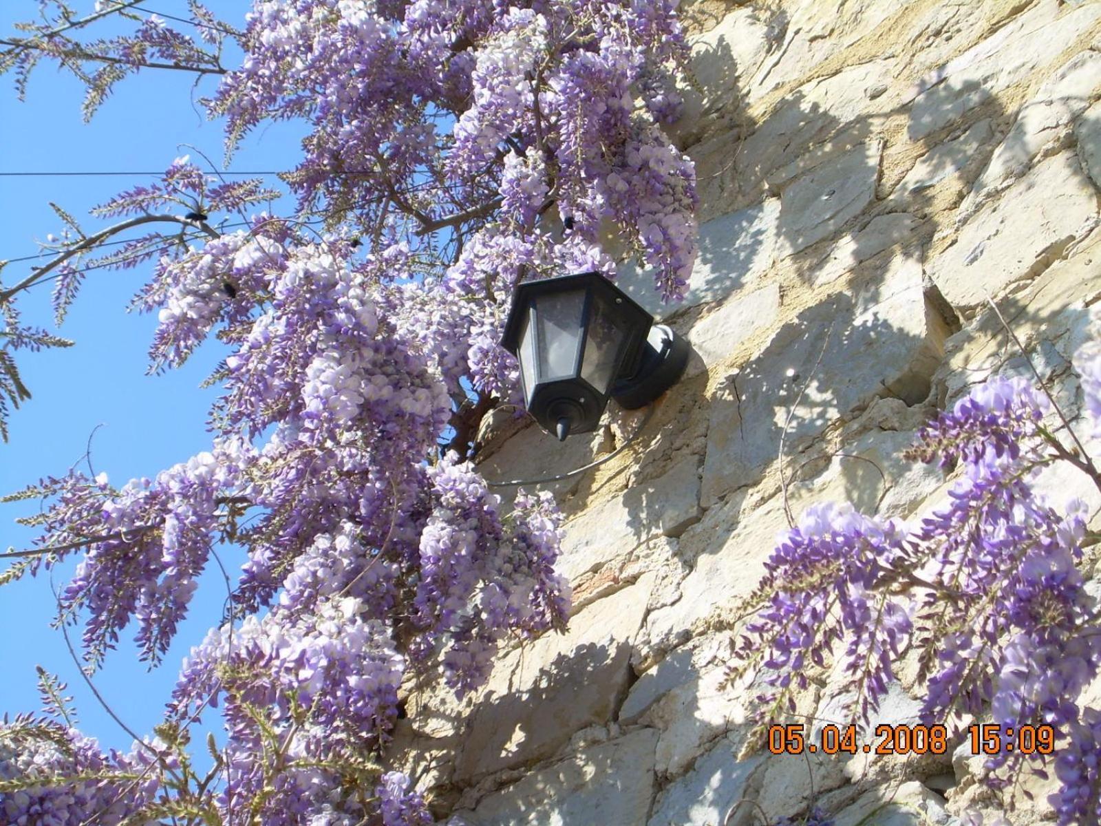 Domaine La Fontaine Du Cade Βίλα Lagorce  Εξωτερικό φωτογραφία